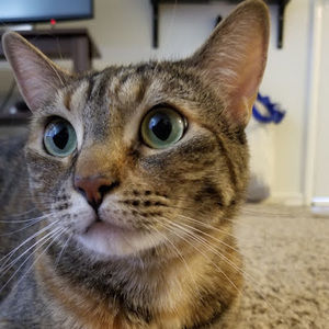 Meet your Posher, Mitsue